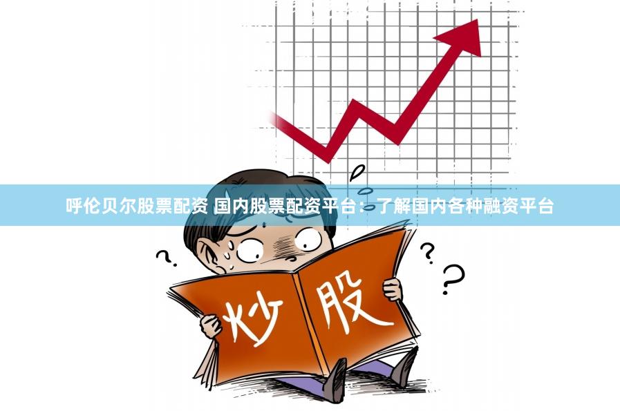 呼伦贝尔股票配资 国内股票配资平台：了解国内各种融资平台