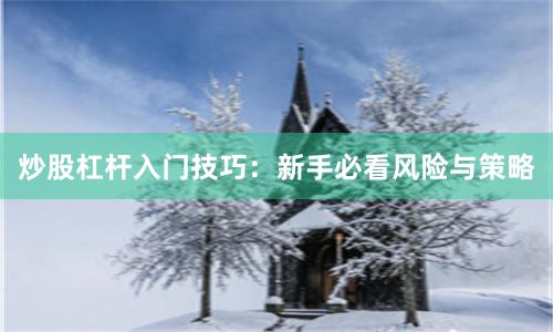 炒股杠杆入门技巧：新手必看风险与策略